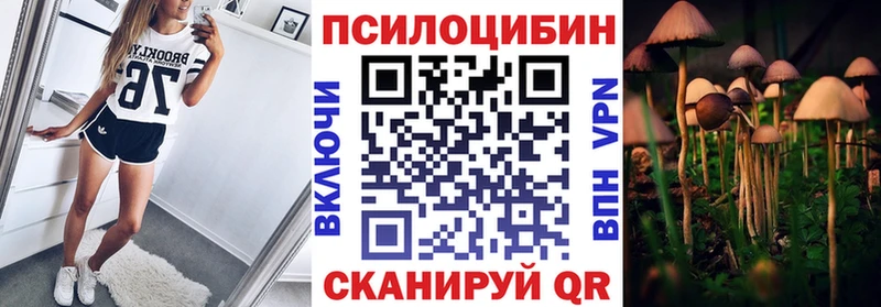 Псилоцибиновые грибы Psilocybe где продают Сунжа
