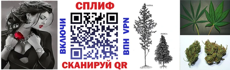 Бошки марихуана гибрид  Сунжа 